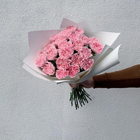 Букет из диантуса №163