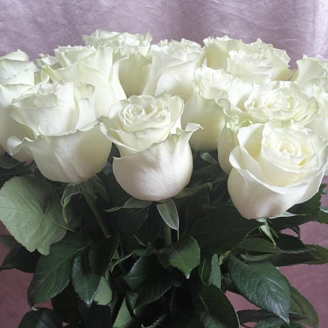 Букет из 21 белой эквадорской розы - Фото 6