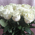 Букет из 21 белой эквадорской розы - Фото 6