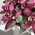 Коробочка Стильная Орхидея в сером - Фото 5