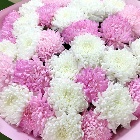 Крымская хризантема №165 - Фото 6