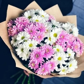 Букет из кустовой хризантемы №162