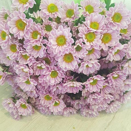 Букет цветов Вера - Фото 4