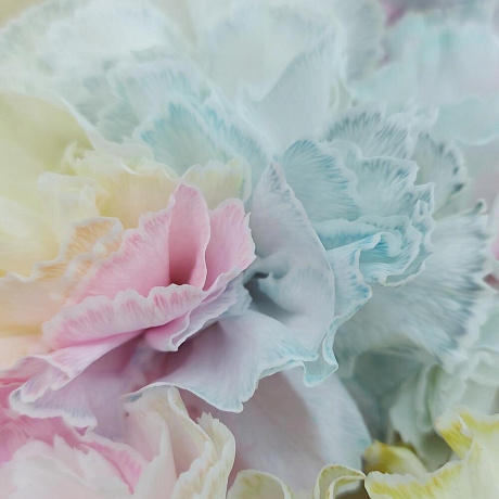 Акварельные диантусы (M) - Фото 4