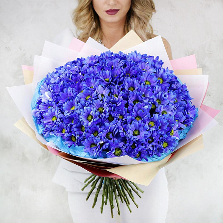 Букет из 25 синих хризантем - Фото 4