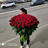 201 роза красная Премиум - Фото 1