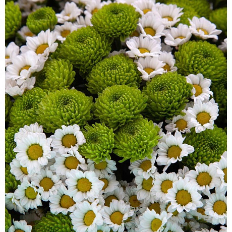 Букет Болеро - Фото 3