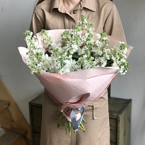 Белая маттиолла