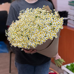 Букет из 25 ромашек №168