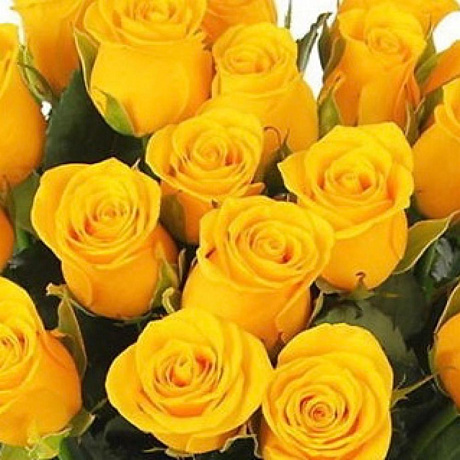 Букет из 21 желтой розы №161 - Фото 3