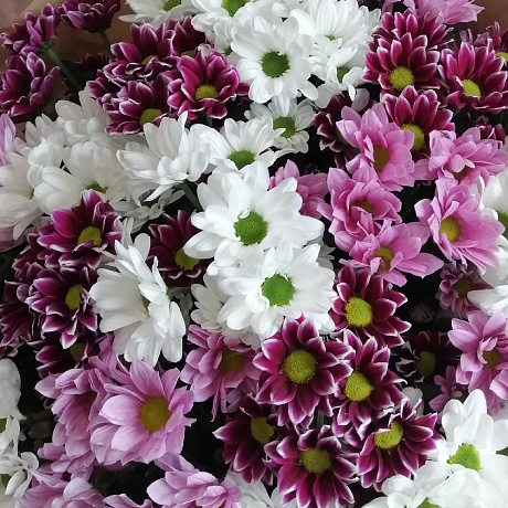 Букет цветов Бакарди микс 25 - Фото 6