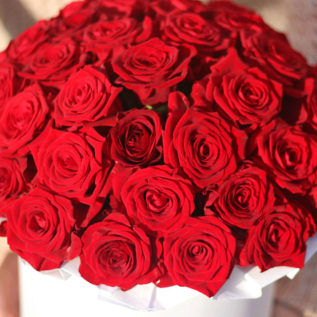 39 красных роз в коробке - Фото 3