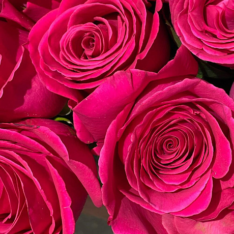 Букет PINK FLOYD из эквадорской розы - Фото 5