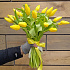Тюльпаны 25 шт - Фото 1