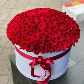 Красные розы в Коробке №161