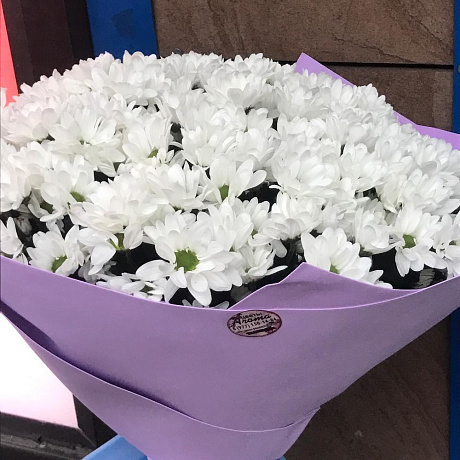 Букет цветов Ромашки XXXl - Фото 2