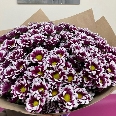 19 кустовых хризантем - Фото 3