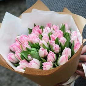 Тюльпаны розовые Голландия