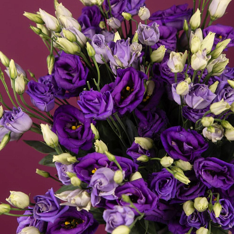 Букет из 19 фиолетовых эустом - Фото 3