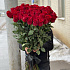 Роза Эксплорер 90см - Фото 5