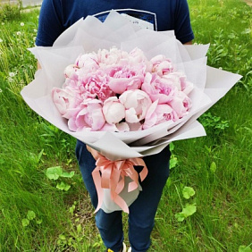 Букет из Пионов "Сара Бернар" 15шт №161