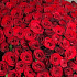 Шикарный букет из 151 красных роз - Фото 3