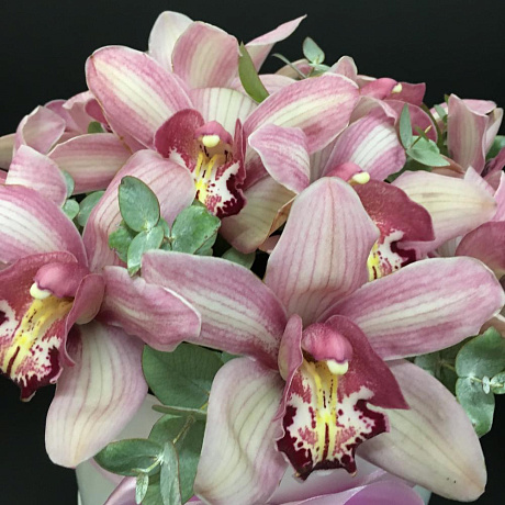 11 орхидей в белой шляпной коробке - Фото 5