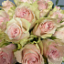 19 Кенийских роз в белой коробке - Фото 2