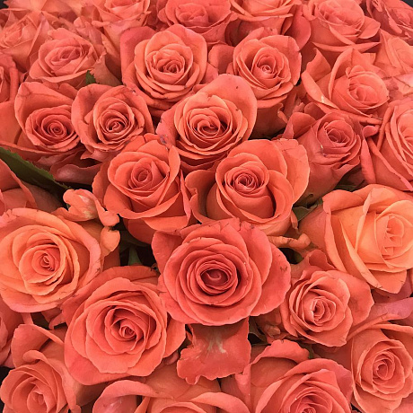 51 оранжевая роза - Фото 4