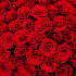 101 красная премиальная роза - Фото 6