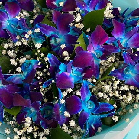 Букет Дендробиум Блю - Фото 5