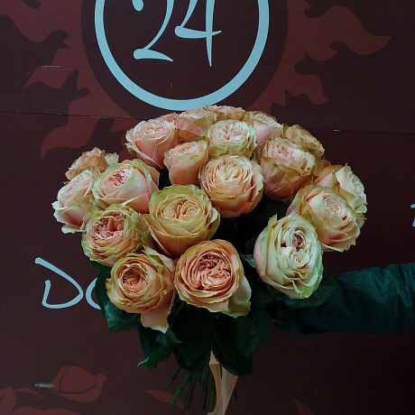 Розы кахала - Фото 2