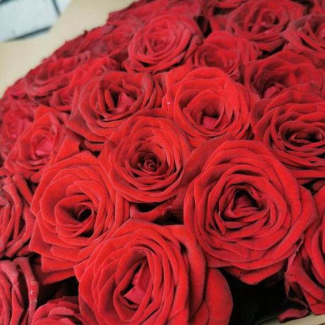 Розы 101 Ред Наоми - Фото 4