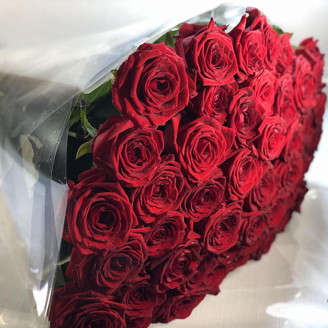 51 красная роза (Голландия 70см) - Фото 4