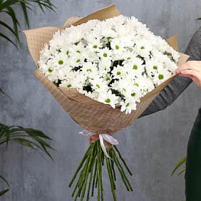 Букет из 25 белых кустовых хризантем Бакарди