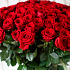 101 красная роза Рэд Наоми (70 см) - Фото 5