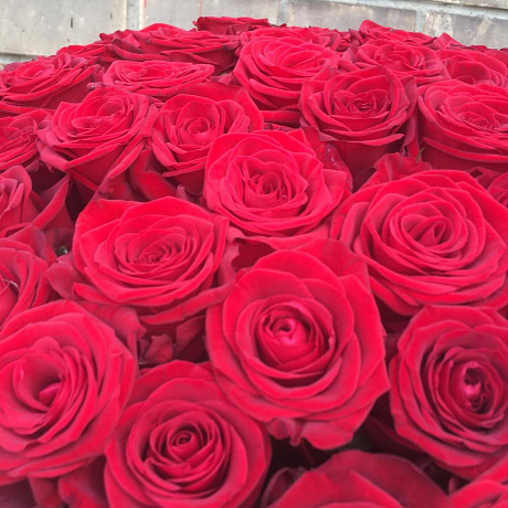 Букет 101 красная роза №175 - Фото 5