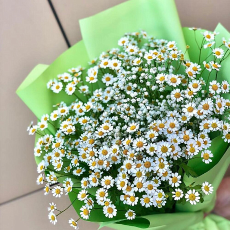 Букет «Любимые ромашечки» - Фото 2