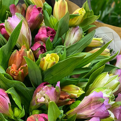 Букет из 29 альстромерий - Фото 3