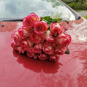 Роза Джамила