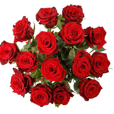 Букет из 15 красных роз Фридом №2 - Фото 2