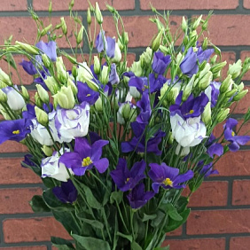 Букет "Нежность лизиантуса"