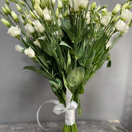 Эустомо Белая - Фото 4