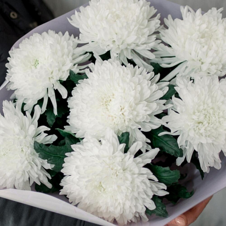 Букет из белых хризантем №160 - Фото 2