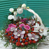Корзина с клубникой, голубикой, орхидеями и розами (Корзина 35 см) - Фото 2
