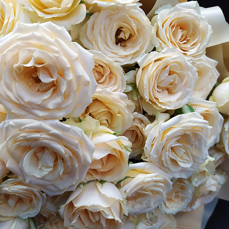 Букет цветов Крем суфле - Фото 4