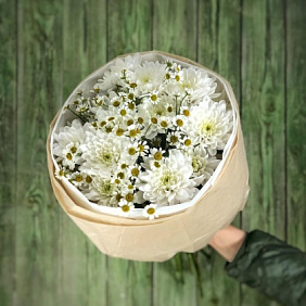 Хризантема с ромашками