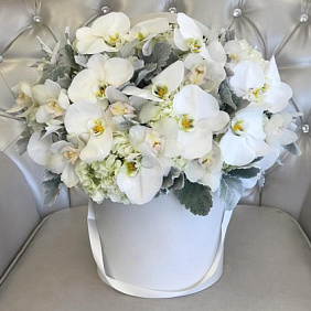 Коробка с цветами Luxury Flowers Орхидеи