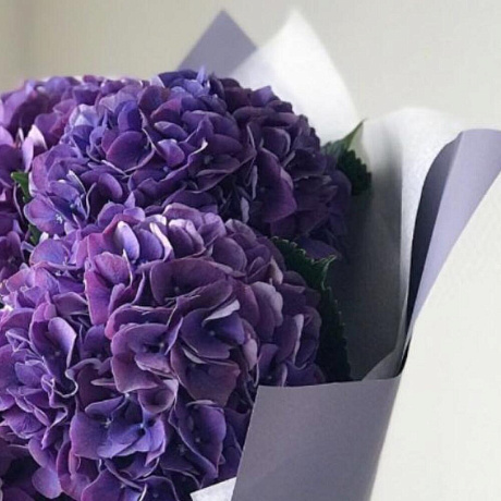 Букет из 5 фиолетовых гортензий - Фото 4