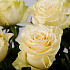 Букет цветов из 15 роз Мондиаль №160 - Фото 3